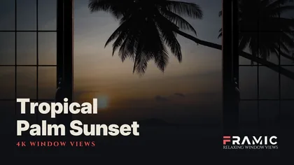 Tropical Palm Sunset