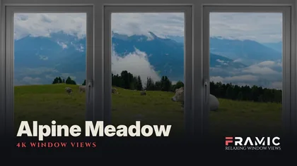 Alpine Meadow