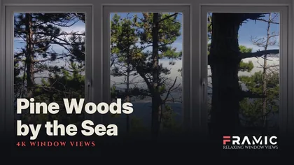 Pine Woods by the Sea