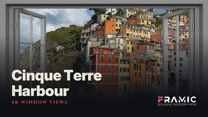 Cinque Terre Harbour