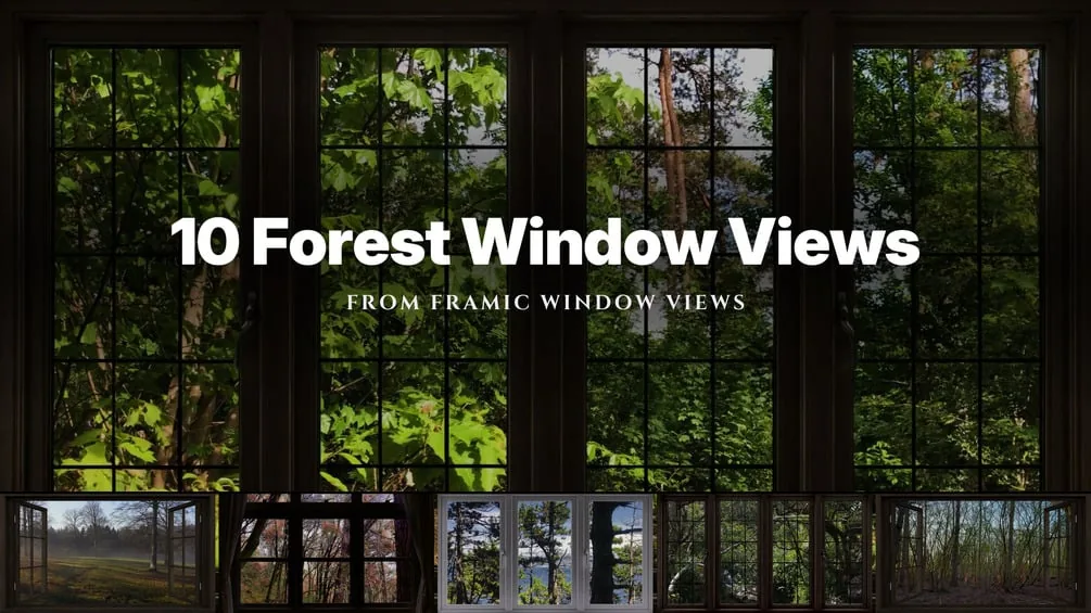 10 Forest Window Views | 4K Ambient Loops for TV, Projector & Sleep