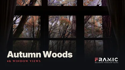 Autumn Woods