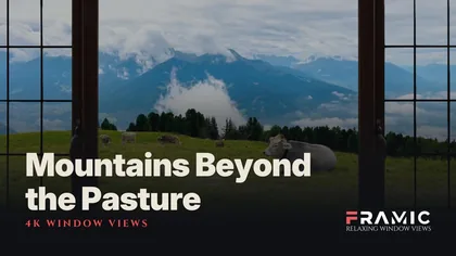 Mountains beyond the Pasture